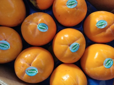 Foto Cachi Mela Varietà Rojo Brillante Calibro 10 Origine Italia Marchio Valfrutta  2