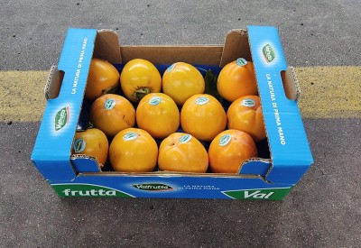 Foto Cachi Mela Varietà Rojo Brillante Calibro 12 Origine Italia Marchio Valfrutta       1