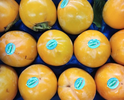 Foto Cachi Mela Varietà Rojo Brillante Calibro 12 Origine Italia Marchio Valfrutta       2