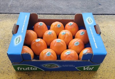 Foto Cachi Mela Varietà Rojo Brillante Calibro 14 Origine Italia Marchio Valfrutta     1