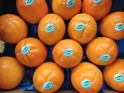 Foto Cachi Mela Varietà Rojo Brillante Calibro 14 Origine Italia Marchio Valfrutta     2