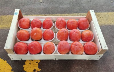 Foto Cachi Mela Varietà Rojo Brillante Calibro 18 Origine Italia Marchio Dalferro 1