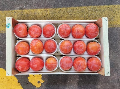 Foto Cachi Mela Varietà Rojo Brillante Calibro 18 Origine Italia Marchio Dalferro 2