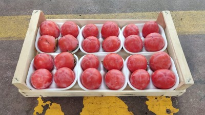 Foto Cachi Mela Varietà Rojo Brillante Calibro 24 Origine Italia Marchio Dalferro 1