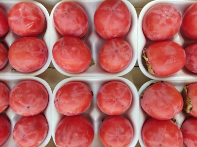 Foto Cachi Mela Varietà Rojo Brillante Calibro 24 Origine Italia Marchio Dalferro 2