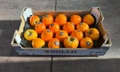 Foto Cachi Mela Varietà Rojo Brillante Calibro 18 Origine Italia Marchio Bollo 1