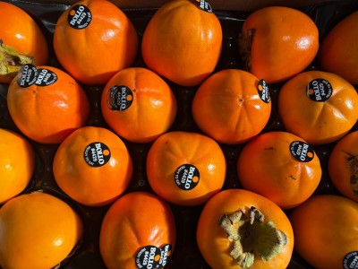 Foto Cachi Mela Varietà Rojo Brillante Calibro 18 Origine Italia Marchio Bollo 2