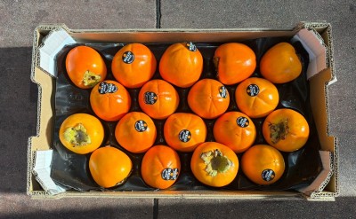 Foto Cachi Mela Varietà Rojo Brillante Calibro 18 Origine Italia Marchio Bollo 3