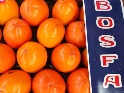 Foto Cachi Mela Varietà Rojo Brillante Calibro 20 Origine Spagna Marchio Bosfa           2