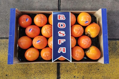 Foto Cachi Mela Varietà Rojo Brillante Calibro 20 Origine Spagna Marchio Bosfa           3