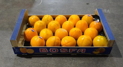 Foto Cachi Mela Varietà Persimon Calibro 20 Origine Spagna Marchio Bosfa  1