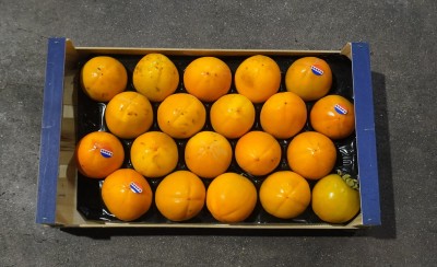 Foto Cachi Mela Varietà Persimon Calibro 20 Origine Spagna Marchio Bosfa  3