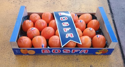 Foto Cachi Mela Varietà Rojo Brillante Calibro 22 Origine Spagna Marchio  Bosfa        1