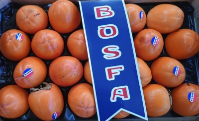 Foto Cachi Mela Varietà Rojo Brillante Calibro 22 Origine Spagna Marchio  Bosfa        2