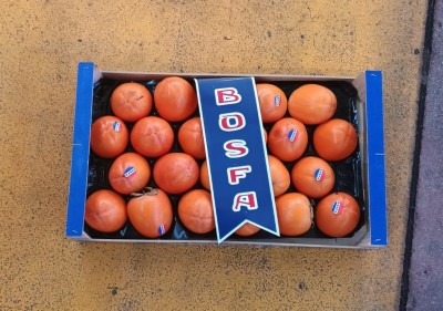 Foto Cachi Mela Varietà Rojo Brillante Calibro 22 Origine Spagna Marchio  Bosfa        3