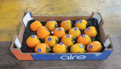 Foto Cachi Mela Varietà Rojo Brillante Calibro 16 Origine Spagna  Marchio Aire 1