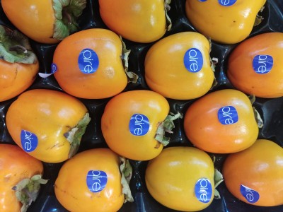 Foto Cachi Mela Varietà Rojo Brillante Calibro 16 Origine Spagna  Marchio Aire 2