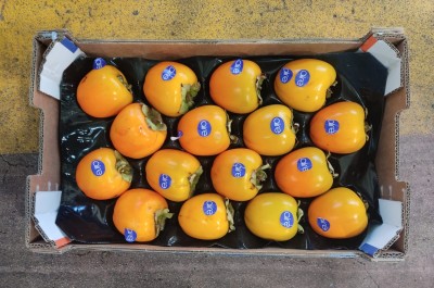 Foto Cachi Mela Varietà Rojo Brillante Calibro 16 Origine Spagna  Marchio Aire 3