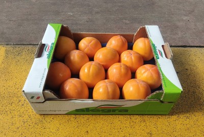 Foto Cachi Mela Varietà Rojo Brillante Calibro 14 Origine Italia Marchio Alegra   1