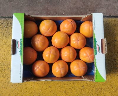 Foto Cachi Mela Varietà Rojo Brillante Calibro 14 Origine Italia Marchio Alegra   3