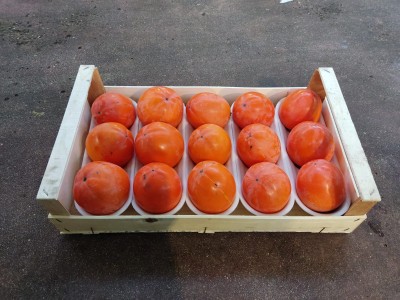 Foto Cachi Mela Varietà Rojo Brillante Calibro 15 Origine Italia Marchio Belvedere 1