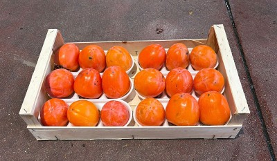 Foto Cachi Mela Maturi Caibro 18 Origine Italia Marchio Belvedere 1