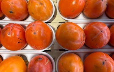 Foto Cachi Mela Maturi Caibro 18 Origine Italia Marchio Belvedere 2