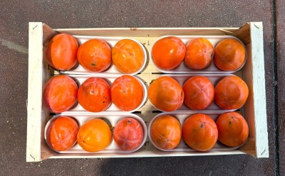 Foto Cachi Mela Maturi Caibro 18 Origine Italia Marchio Belvedere 3