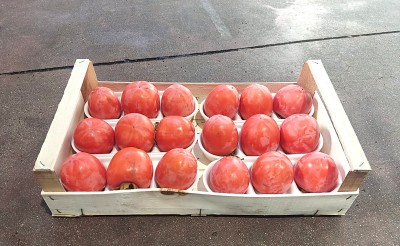 Foto Cachi Mela Varietà Rojo Brillante Calibro 18 Origine Italia Marchio Belvedere 1