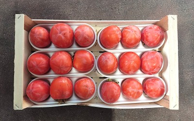 Foto Cachi Mela Varietà Rojo Brillante Calibro 18 Origine Italia Marchio Belvedere 2