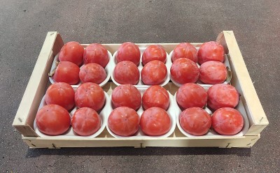 Foto Cachi Mela Varietà Rojo Brillante Calibro 24 Origine Italia Marchio Belvedere 1