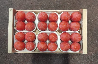 Foto Cachi Mela Varietà Rojo Brillante Calibro 24 Origine Italia Marchio Belvedere 3