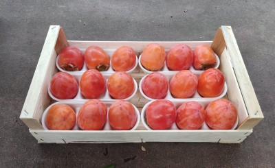 Foto Cachi Mela Varietà Rojo Brillante Calibro 18 Origine Italia Marchio Belvedere  1