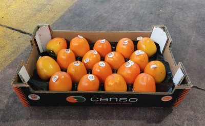 Foto Cachi Mela Varietà Rojo Brillante Calibro 18 Origine Spagna Marchio Canso  1