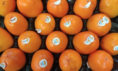 Foto Cachi Mela Varietà Rojo Brillante Calibro 18 Origine Spagna Marchio Canso  2