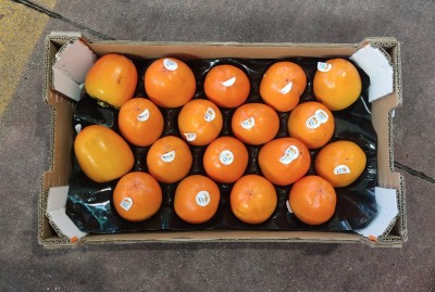 Foto Cachi Mela Varietà Rojo Brillante Calibro 18 Origine Spagna Marchio Canso  3