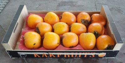 Foto Cachi Mela Varietà Rojo Brillante Calibro 14 Origine Spagna Marchio Kakfruits 1