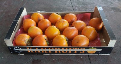 Foto Cachi Mela Varietà Rojo Brillante Calibro 16 Origine Spagna Marchio Kakfruits 1