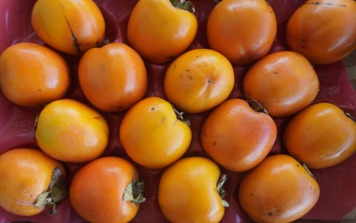 Foto Cachi Mela Varietà Rojo Brillante Calibro 16 Origine Spagna Marchio Kakfruits 2