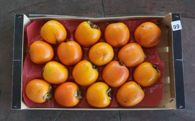 Foto Cachi Mela Varietà Rojo Brillante Calibro 16 Origine Spagna Marchio Kakfruits 3