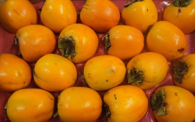 Foto Cachi Mela Varietà Rojo Brillante Calibro 18 Origine Spagna Marchio Kakfruits  2