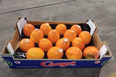 Foto Cachi Mela Varietà Persimon Calibro 16 Origine Spagna Marchio Coagri 1