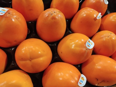 Foto Cachi Mela Varietà Persimon Calibro 16 Origine Spagna Marchio Coagri 2