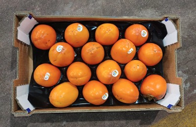 Foto Cachi Mela Varietà Persimon Calibro 16 Origine Spagna Marchio Coagri 3