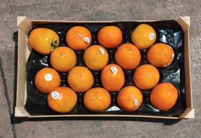 Foto Cachi Mela Varietà Persimon Calibro 16 Origine Spagna Marchio Coagri 3