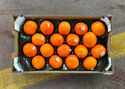 Foto Cachi Mela Varietà Rojo Brillante Calibro 18 Origine Spagna Marchio Coagri 3