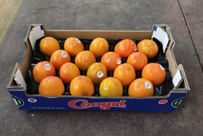 Foto Cachi Mela Varietà Persimon Calibro 18 Origine Spagna Marchio Coagri      1