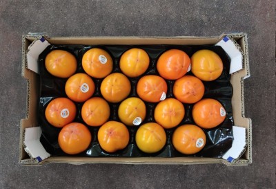 Foto Cachi Mela Varietà Persimon Calibro 18 Origine Spagna Marchio Coagri      3