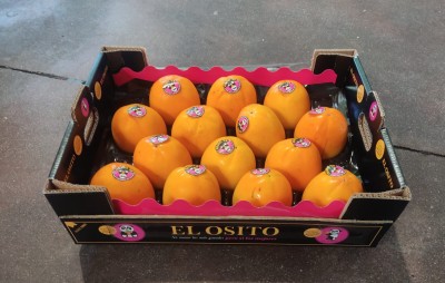 Foto Cachi Mela Varietà Rojo Brillante Calibro 14 Origine Spagna Marchio Elosito	       1