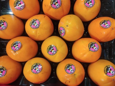 Foto Cachi Mela Varietà Rojo Brillante Calibro 14 Origine Spagna Marchio Elosito	       2